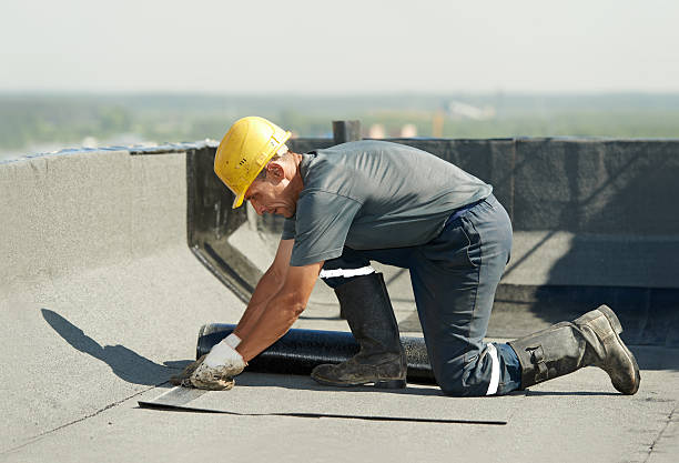 Best Residential Insulation in San Elizario, TX