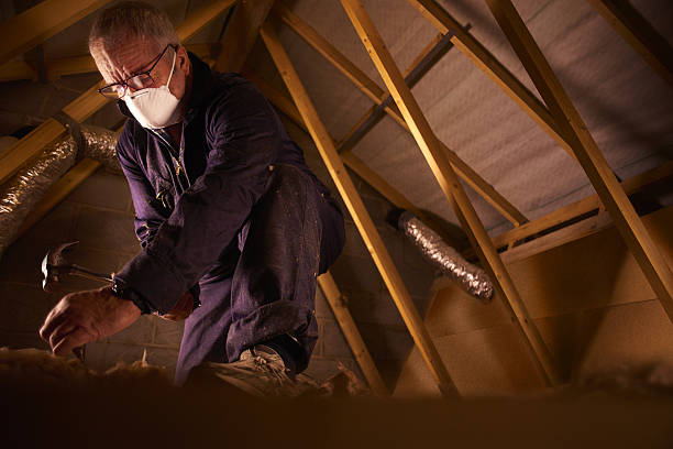 Best Insulation Maintenance and Repair in San Elizario, TX